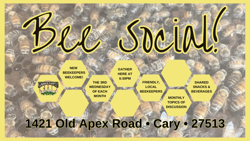 Bee Social