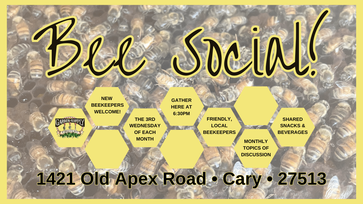 Bee Social