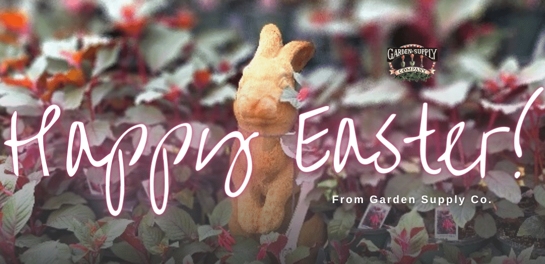 Closed Easter Sunday