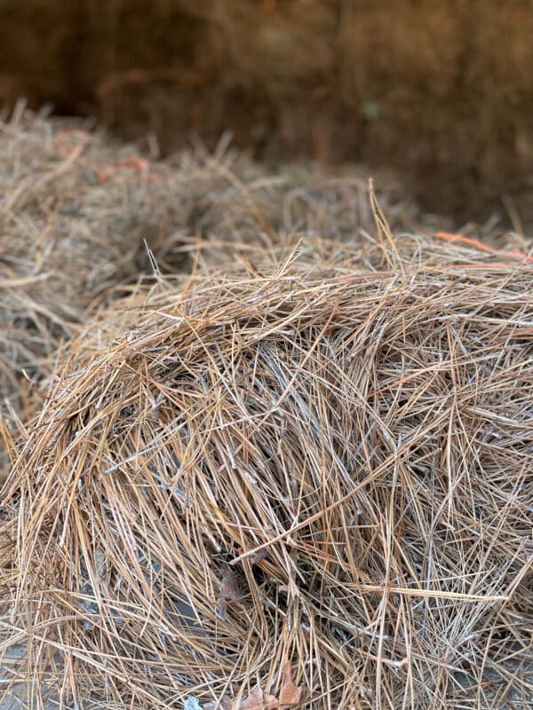 Pine Straw by the Bale