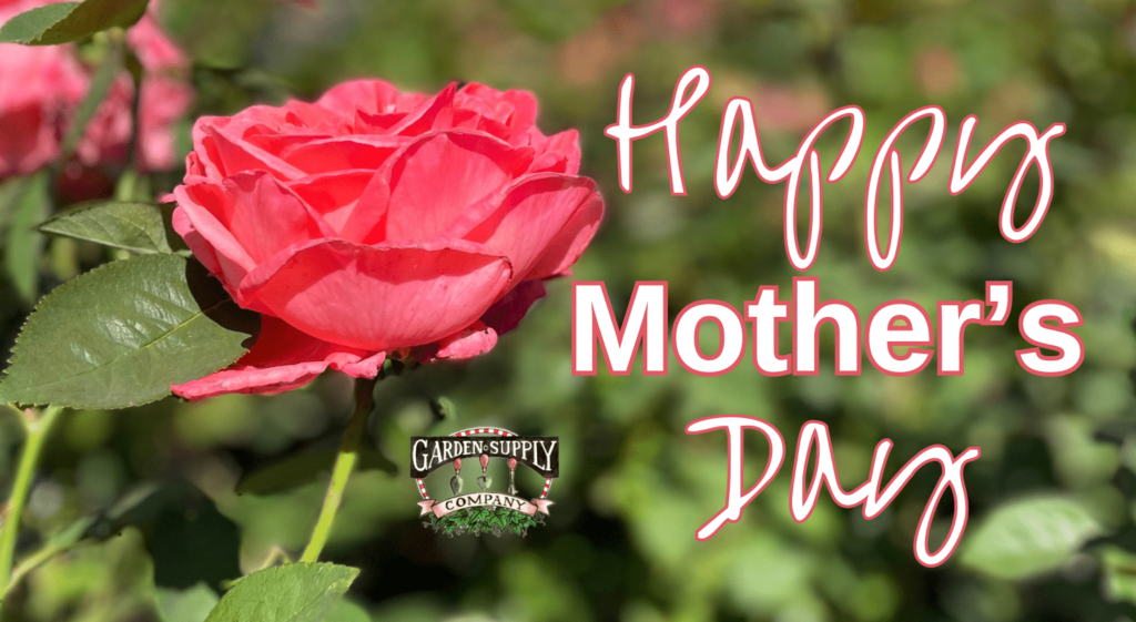 Open. Mother's Day.