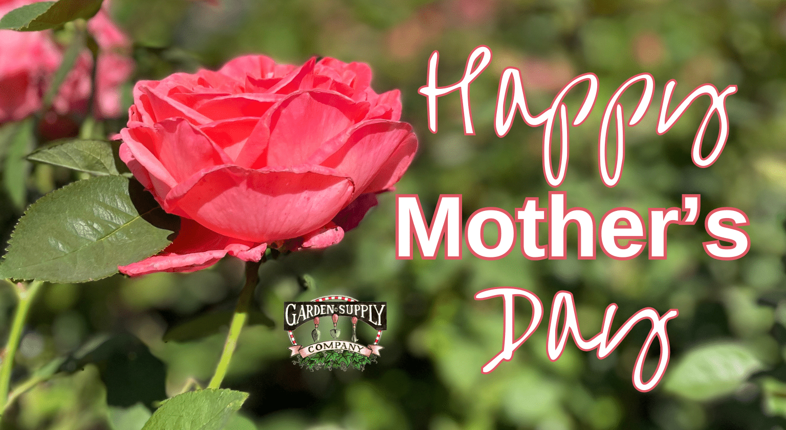 Open. Mother's Day.