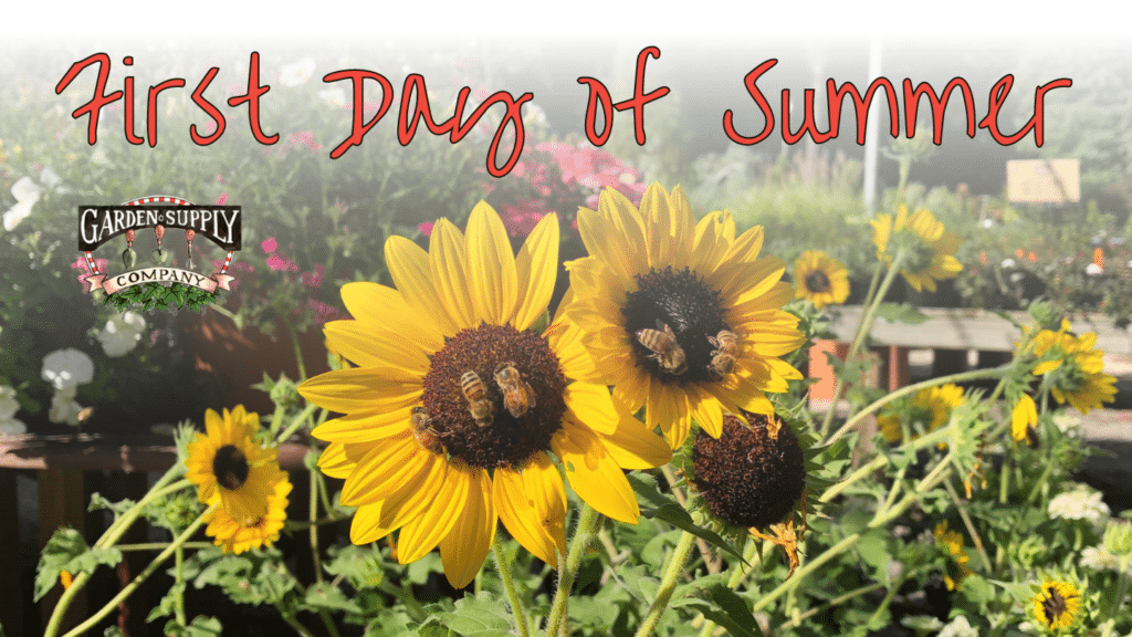 first day of summer
