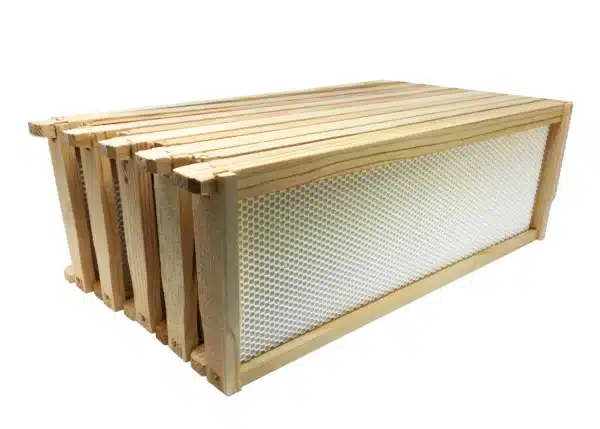 Medium 6 1/4" Wood Frame w/ Double Waxed White Foundation