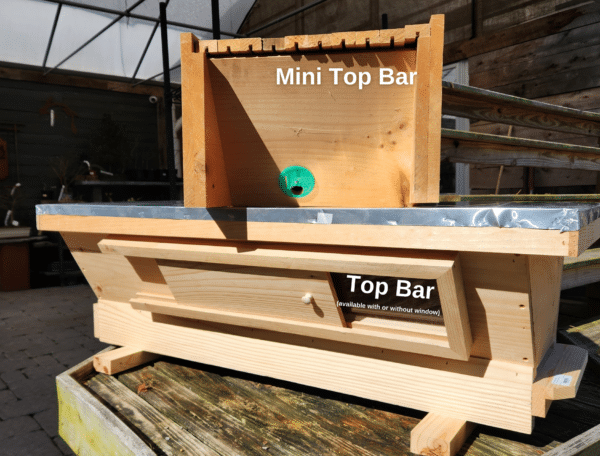 Pine Top Bar Hive w/o Window