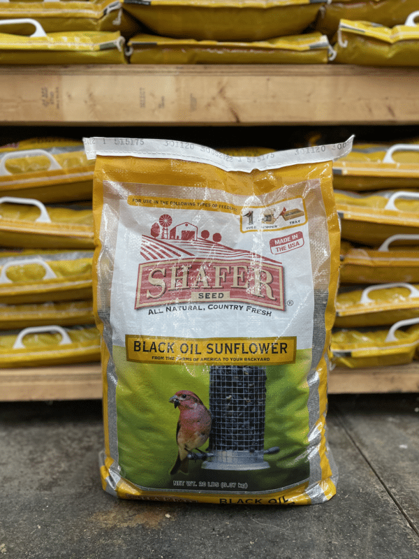 Shafer #20 Black Oil Sunflower Bird Seed